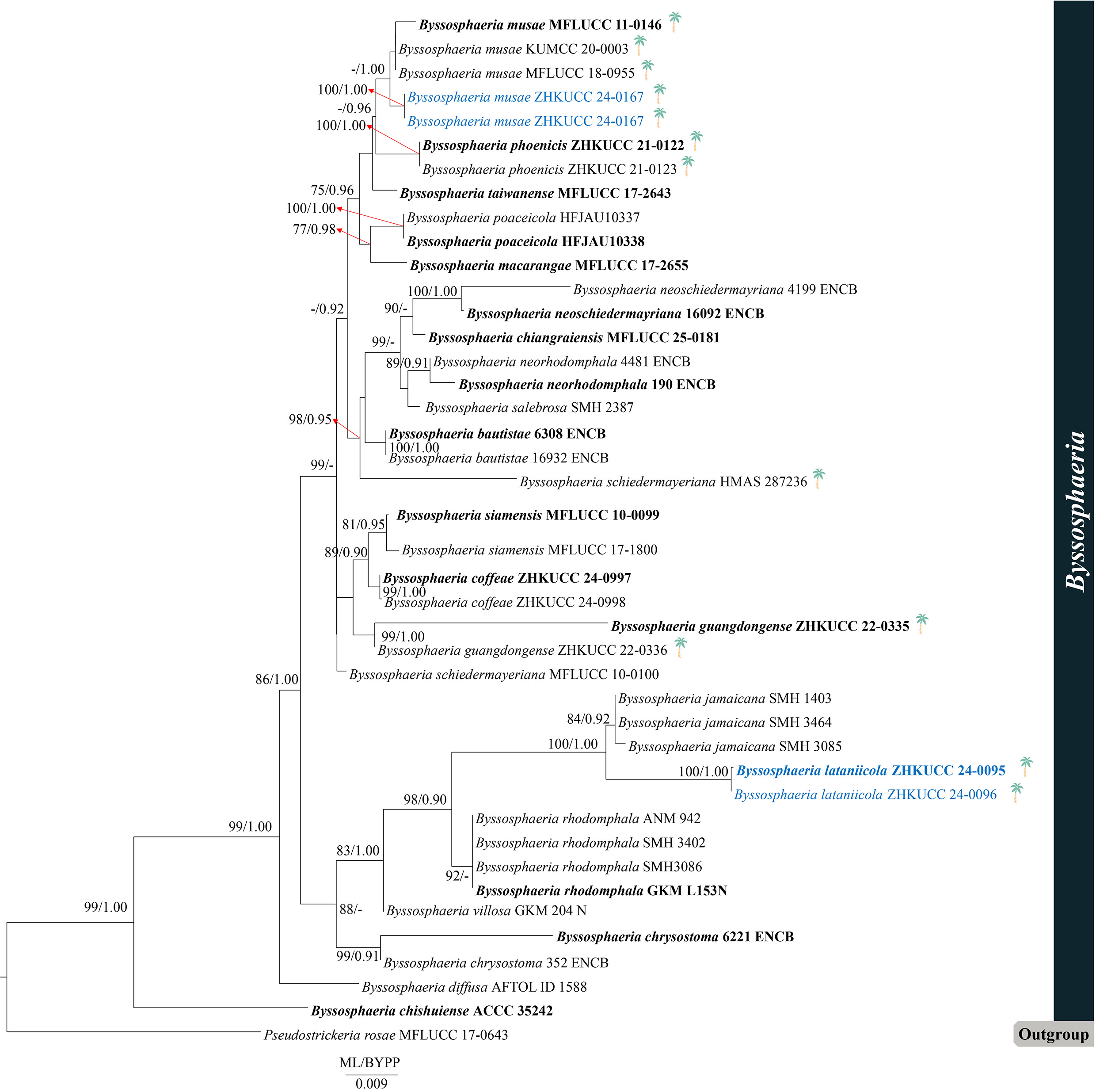 Figure 33